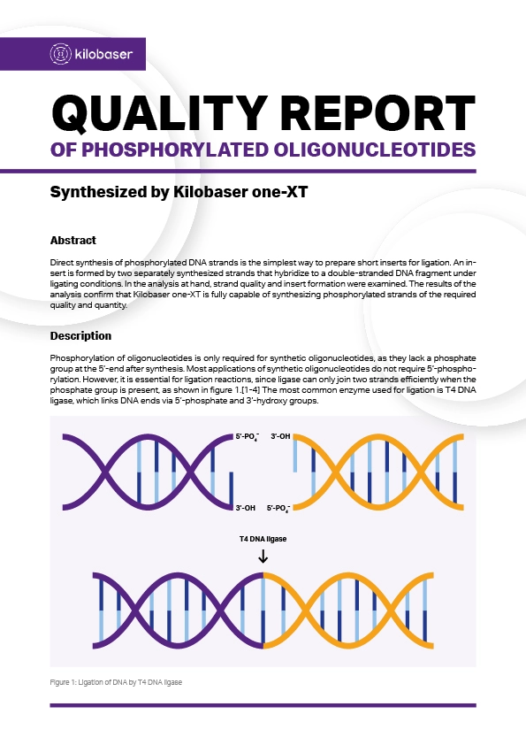 Images/PDF-Covers/Kilobaser_Quality-Report_Phosphorylated-Oligonucleotides_Cover-Image