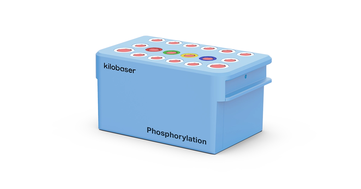 Images/Products/Phosphorylation-DNA_Cartridge_Kilobaser_Shop