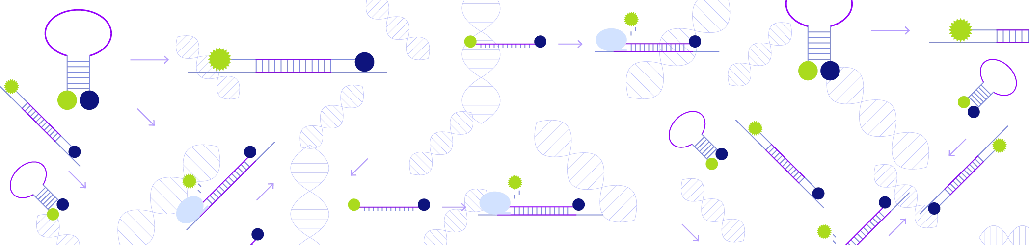 Images/Schematic-Graphics/Kilobaser_DNA-Probes_Banner_BG